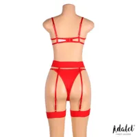yvonne-bra-thong-and-garter-belt-set-with-hearts-red-a-323.jpg