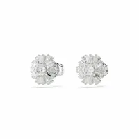 ladies-earrings-swarovski-5691483-s72102156-bbs72102156.jpg