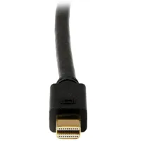 mini-displayport-to-dvi-cable-startech-mdp2dvimm3b-s55057135-bbs55057135.jpg