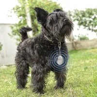 rechargeable-ultrasound-parasite-repellent-for-pets-petrep-innovagoods-v0103219-bbv0103219.jpg
