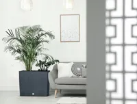 b94207c1ef02e1e6e6099160354d4998.jpg