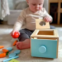 WOOPIE-GREEN-Drewniana-Szuflada-Edukacyjna-4w1-Sorter-Montessori-Gra-w-Marchewki-FSC__1275077__1200.jpg