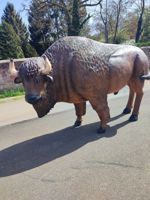 bison2.jpg