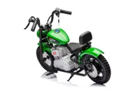 Motor-Na-Akumulator-A9902-36V-Zielony__1105935__1200.jpg