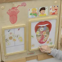 MASTERKIDZ-Tablica-Edukacyjna-Zmysl-Smaku-Montessori__1271685__1200.jpg