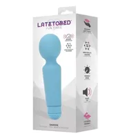 sander-mini-wand-massage-lt-493-cllt-493.jpg