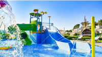 S_oneczny_Gr_dek_99.webp