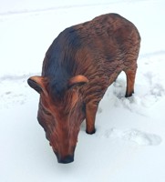 Wildschwein_Bache_FA_91-2.jpg
