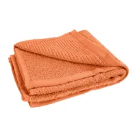 RMY Terry Towel Wash Cloth,Washcloths Price in Pakistan,Indus Towel 100% Cotton Wash Cloth - image 2