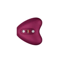libera-air-pulse-vibrator-wine-red-ff001038wr01-clff001038wr01.jpg