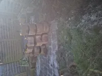 20260303_160526.jpg