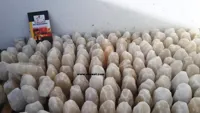 White salt lamps price,RMY Himalayan White Natural Salt Lamps 30-35kg ,RMY Best White Himalayan S...