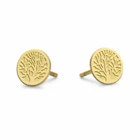ladies-earrings-co88-collection-8ce-70144-golden-s72111104-bbs72111104.jpg