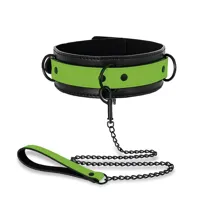 glow-in-the-dark-collar-with-leash-sl-153-clsl-153.jpg