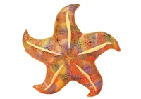 Maskotka-Pluszowa-Rozgwiazda-Zolta-Poduszka-45-cm__1107704__1200.jpg