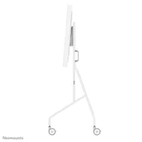 screen-table-support-neomounts-fl50-515wh1-55-65-s55310164-bbs55310164.jpg