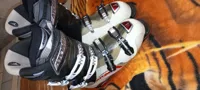 20260209_205906.jpg