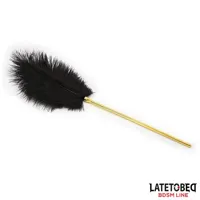 feather-tickler-41-cm-8436615001255-cl8436615001255.jpg