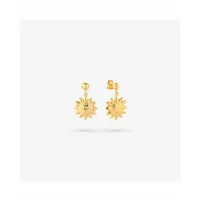 ladies-earrings-radiant-ry000149-s0800622-bbs0800622.jpg