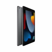 tablet-apple-ipad-a13-3-gb-ram-6-gb-ram-256-gb-grey-m0802119-bbm0802119.jpg