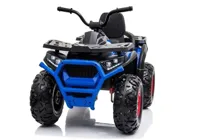 Quad-na-Akumulator-M-607-Niebieski__1205694__1200.jpg