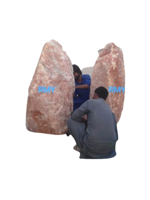 RMY Natural Red Salt Lamps,Himalayan Natural Red Salt Lamps 45-50kg,RMY Red Salt Lamps 45-50kg, R... - image 2