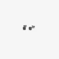 ladies-earrings-radiant-rh000182-s72109111-bbs72109111.jpg