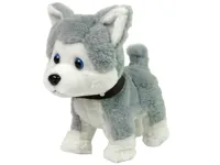 Pluszowy-Piesek-Husky-Interaktywny-Edukacyjny-Smycz-Piosenki-Chodzi__1064758__1200.jpg