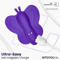 wingy-butterfly-vibrator-with-app-dark-purple-in-317-clin-317.jpg