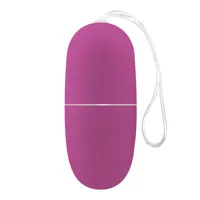 ecopurple-vibrating-egg-with-remote-control-m-845-clm-845.jpg