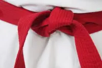 RMY Karate Red Belts,RMY Karate Belts - image 2