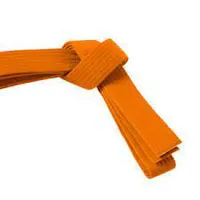 RMY Hapkido Orange Belts,RMY Hapkido Amazing Quality Belts - image 3