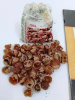 RMY Soap nut shells bag,Soap nuts shell clothing,Soap nuts bulk,do soap nuts shell really work - image 2