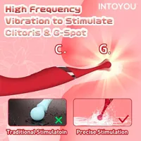 onax-double-pulse-stimulator-with-vibrating-tip-usb-u-192-clu-192.jpg