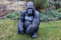 gorillakind.jpg