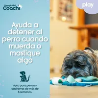 dog-harness-coachi-s6105275-bbs6105275.jpg