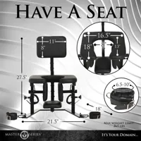 pleasure-throne-oral-sex-chair-848518054647-cl848518054647.jpg