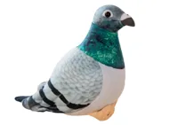 Golab-Szary-Maskotka-Pluszowa__1176281__1200.jpg