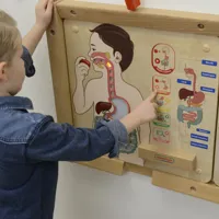 MASTERKIDZ-Tablica-Edukacyjna-Uklad-Trawienny-Montessori__1294427__1200.jpg