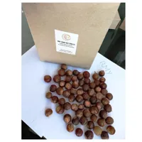RMY 750g Soap Nut Shells for Mosquito Repellent in Bux Board,Do Soap Nuts Work in Cold Water ,How... - image 3