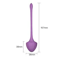 set-of-5-kegel-balls-8436626093119-cl8436626093119.jpg