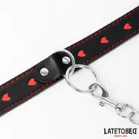 collar-with-leash-52-cm-8436615009329-cl8436615009329.jpg