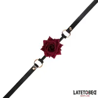 gold-metal-rose-gag-ball-8436615009367-cl8436615009367.jpg