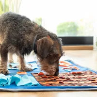 sniffing-mat-for-pets-foopark-innovagoods-v0103590.jpg