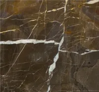 RMY Coffee Gold Marble Tiles,Marble Floor Design For Home,Coffee gold marble tiles price in pakistan - image 3