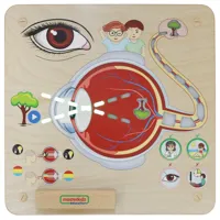 MASTERKIDZ-Tablica-Edukacyjna-Zmysl-Wzroku-Montessori__1291061__1200.jpg