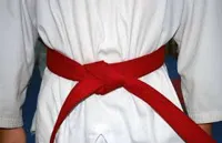 RMY Karate Red Belts,RMY Karate Belts - image 3