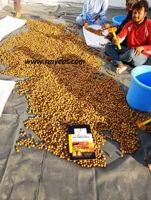 Soap Nuts Factory,RMY soap nut 20kg  hand soap,What are the soapnuts facts and health benefits - image 2