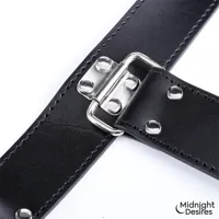 bound-arm-restraint-set-md-050-clmd-050.jpg