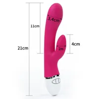 vibe-dreamer-usb-rose-red-lo-lv2710p-cllo-lv2710p.jpg
